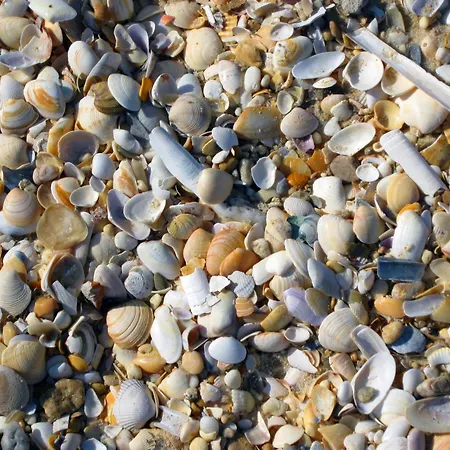 Moinhos Das Mares-3