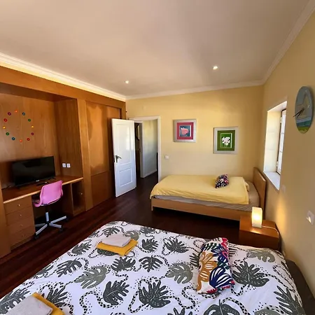B&B With Palm Tree Heated Pool-2