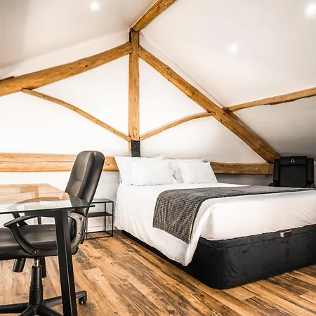Loft Prestige - Leiria Centro-3