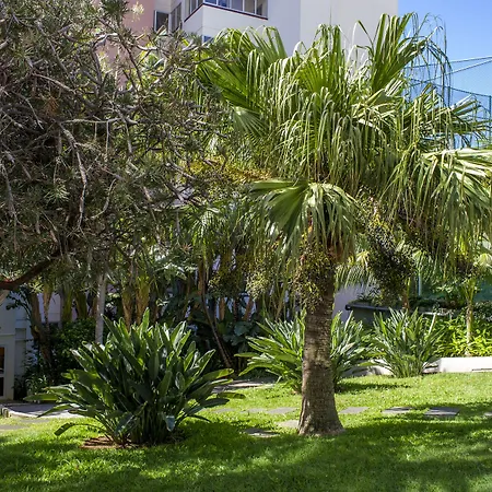 Dorisol Buganvilia Studio Hotel-2