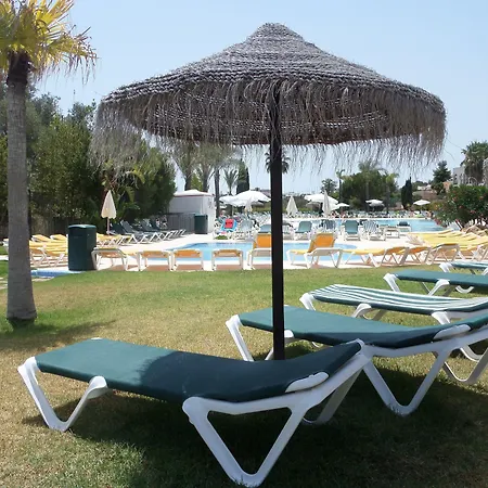 Yellow Alvor Garden-3