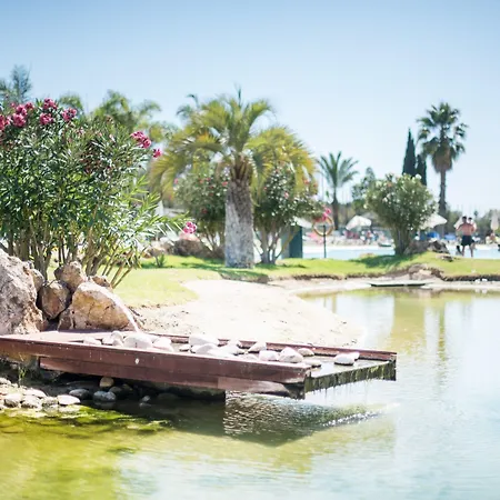 Yellow Alvor Garden-2