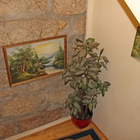 Guest House Estrela-2