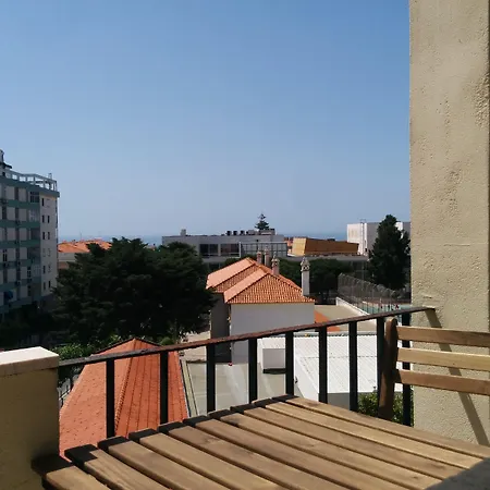 As Mimosas-2