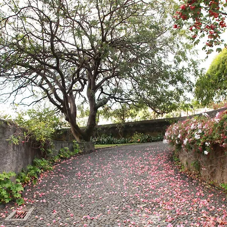 Quinta Das Malvas - Quinta De Santa Luzia-2