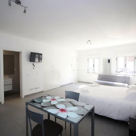 Guest House Lovely Swan-3