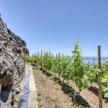 Socalco Nature Calheta-3
