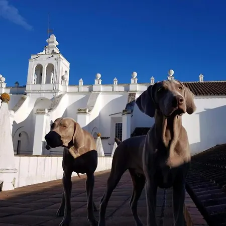 Convento Do Espinheiro, Historic Hotel & Spa-2