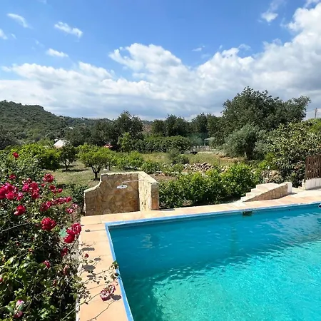 Quinta Dos Netos-2