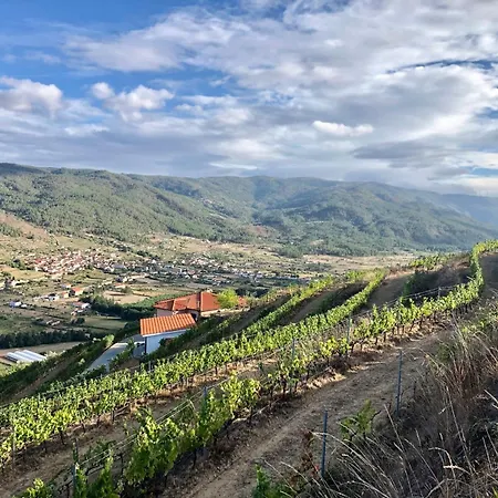 Quinta Da Penada - Vineyard & Winery - Suite 3-2