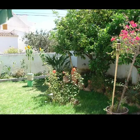 Lemon Tree Relaxing Guesthouse-3