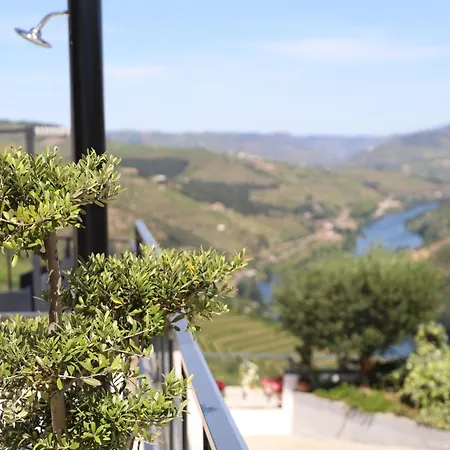 Casa Vale Do Douro-3