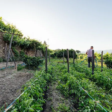 Casas Da Quinta De Santa Cruz - Douro Land-2