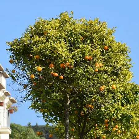 Quinta De Catralvos-2