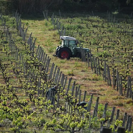 Quinta De Catralvos-3