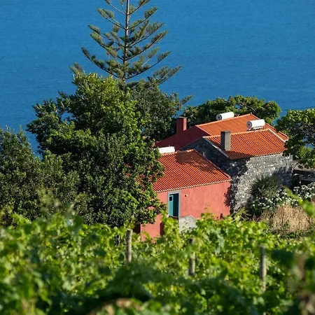 Quinta Das Vinhas-2