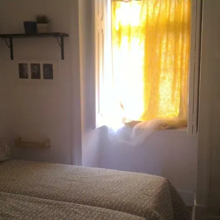 R & Freud Guest House-3