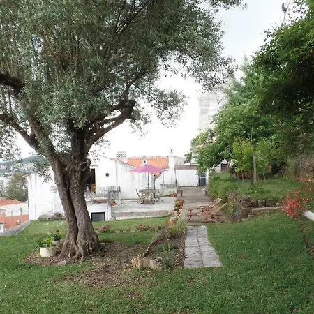 Ponto De Vista - Coimbra-3