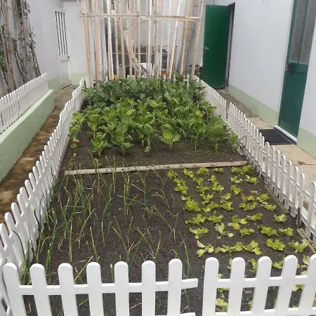 Casa Do Largo House-2