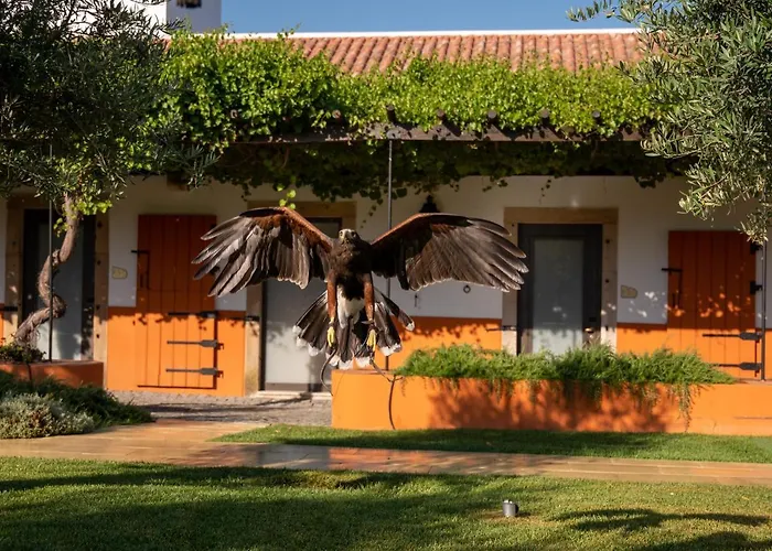 Vila Gale Collection Alter Real - Resort Equestre, Conference & Spa Alter do Chão
