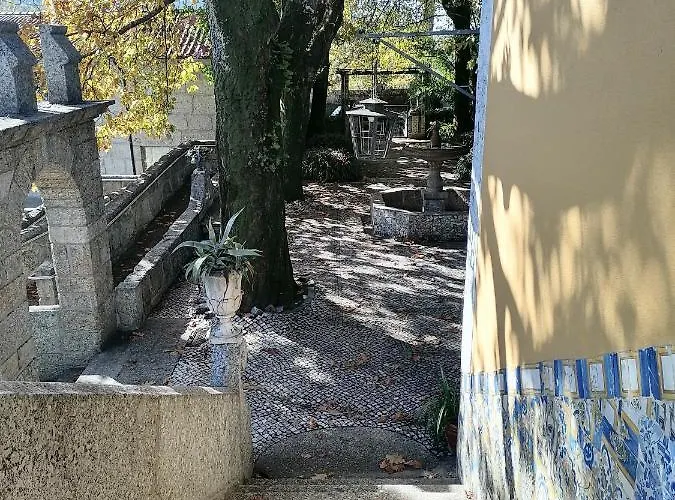 Camelia Rooms Guimarães