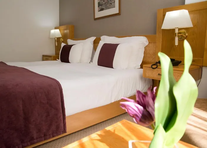 Hotel Rainha D. Amelia, Arts & Leisure Castelo Branco 