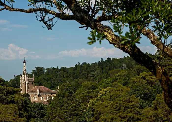 Palace Hotel Do Bussaco Luso 