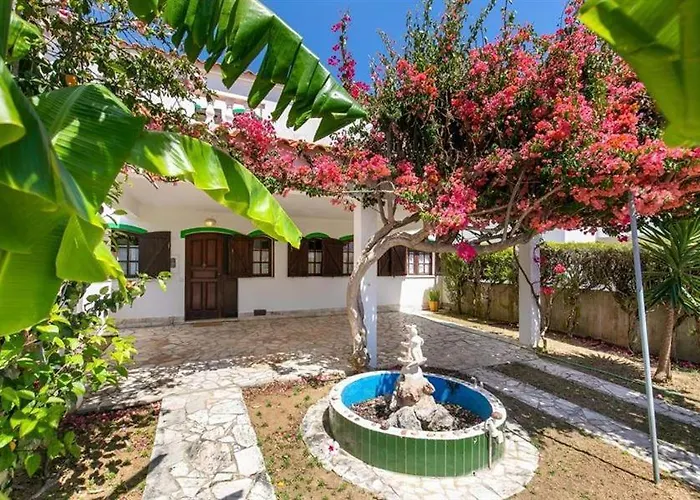 Roulito'S Guest House Altura