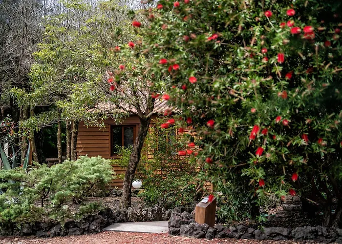 Alma Do Pico - Nature Residence Madalena 