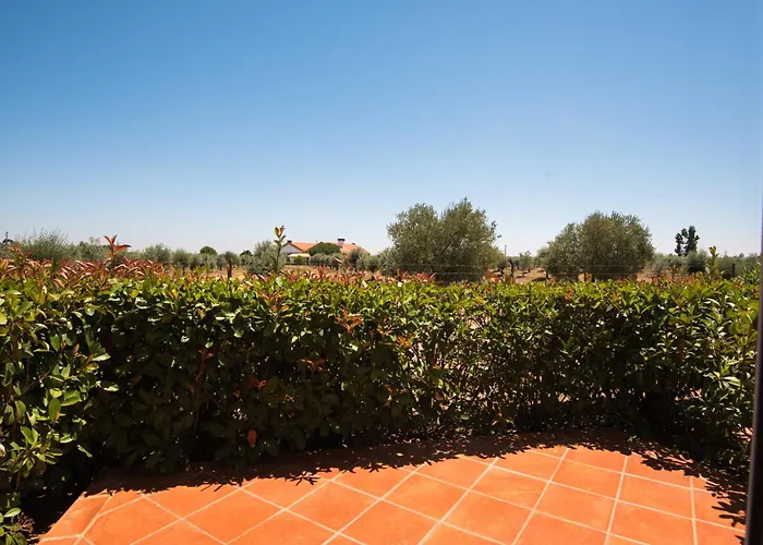 Vila Gale Alentejo Vineyard - Clube de Campo Albernoa - un Hotel de 4 estrellas