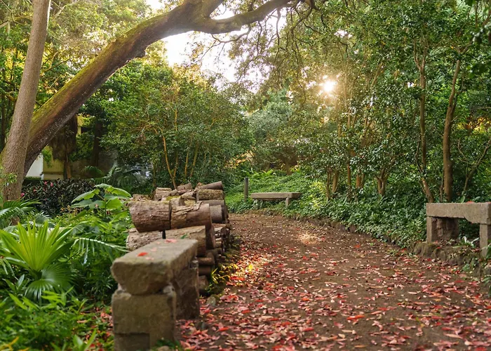 Solar dos Cantos Botanic House&Garden Ponta Delgada