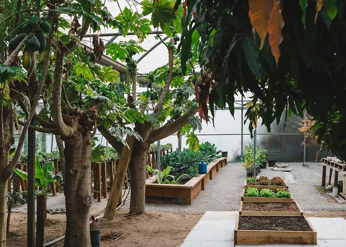 Quinta Da Carlota Acomodação com café da manhã Torres Vedras