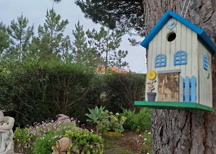 Aljezur Coast Apartment - Villa Luar