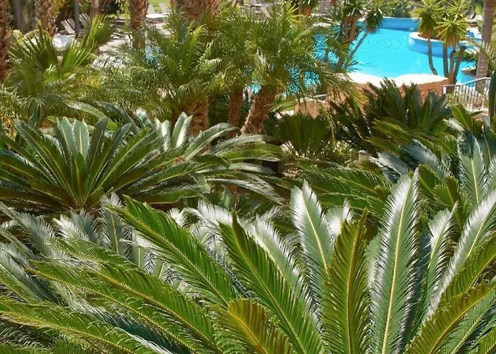Ria Park Hotel & Spa Almancil