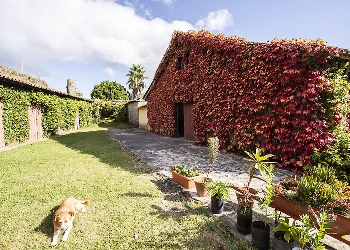 Casa da Várzea Ponte de Lima