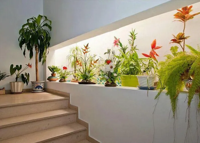 Boutique Hotel Adelaide Distretto di Distretto di Faro
