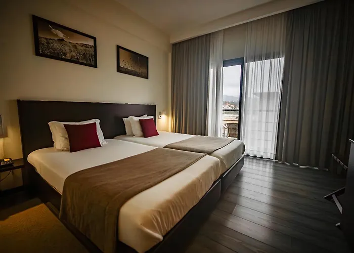 Hotel Sao Pedro - Arouca