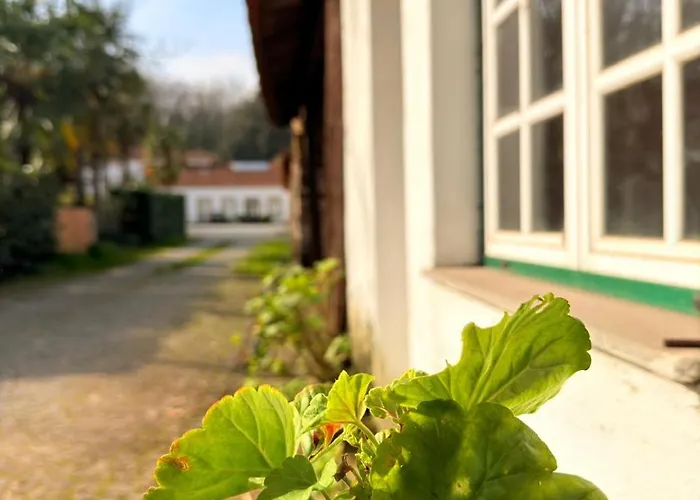 Quinta de Marzovelos Viseu