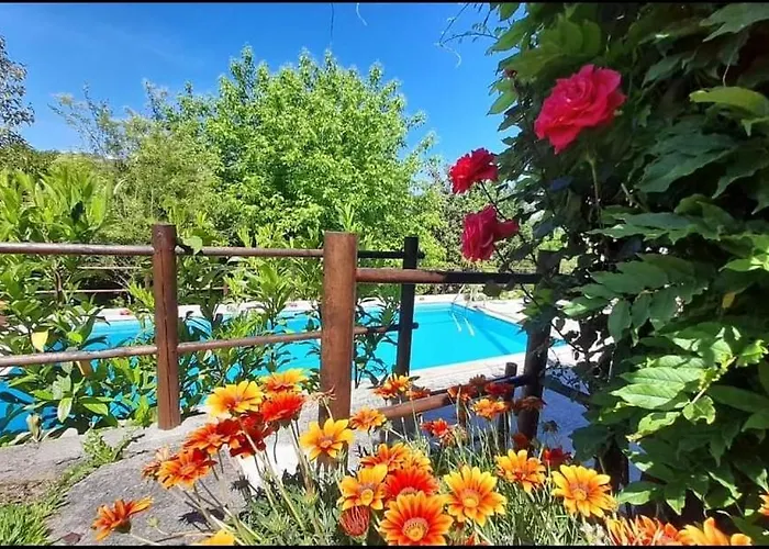 Villas de Lujo en Amarante 