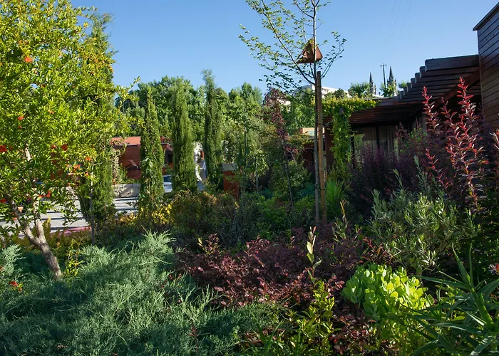 Vale De Sao Torcato Hotel Rural Guimarães
