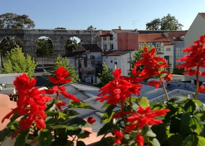 Ah33 - Estudios Coimbra